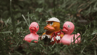 Cute and Quirky Things to Do in Lake Geneva