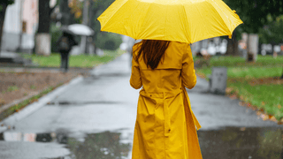 Rainy Day in Lake Geneva? Here’s What to Do Indoors