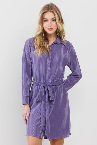 Modern Pleat Shirt Dress