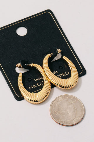 Golden Coil Hoop Earrings
